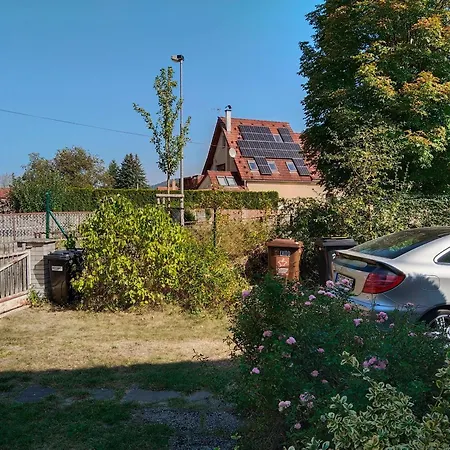 Marta * סטארה ספלאבי